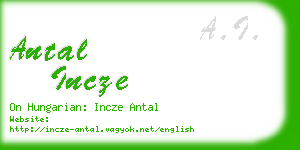 antal incze business card